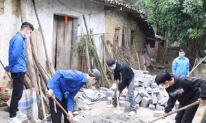 Góp sức trẻ xây dựng quê hương giàu đẹp