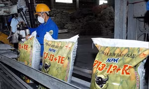 Nông dân oằn mình vì giá phân bón