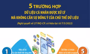 5 trường hợp dữ liệu cá nhân được xử lý không cần đồng ý của chủ thể