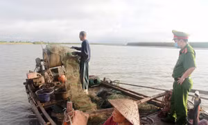 Nhanh chóng gỡ "thẻ vàng" EC