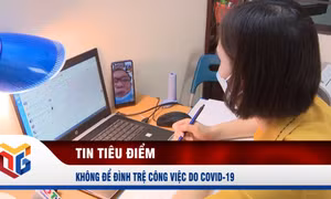 Không để đình trệ công việc do Covid-19