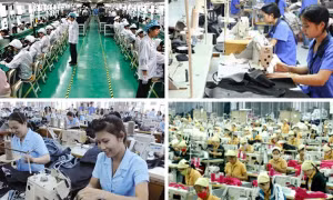 Kết nối, chia sẻ thông tin thị trường lao động