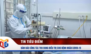 Đảm bảo công tác thu dung điều trị cho bệnh nhân Covid-19