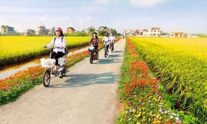 Ban hành Bộ tiêu chí xã nông thôn mới giai đoạn 2021 - 2025