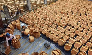 Quý I, xuất siêu nông, lâm, thủy sản tăng gấp 3 lần