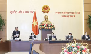 Thông qua nghị quyết giảm thuế bảo vệ môi trường đối với xăng dầu