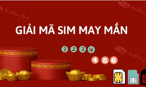 Trọn bộ giải mã số điện thoại nhận diện sim may mắn