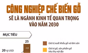 Công nghiệp chế biến gỗ là ngành kinh tế quan trọng vào năm 2030
