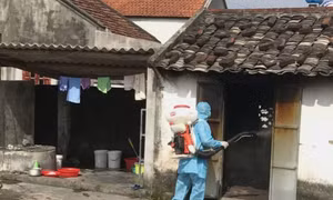 Phòng chống sốt xuất huyết