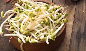 Những đại kỵ khi ăn giá đỗ, cần tuyệt đối tránh
