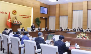Đánh giá tác động đầy đủ khi đưa người nghiện ma túy vị thành niên vào cơ sở cai nghiện bắt buộc