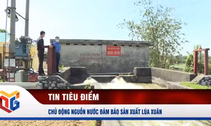 Chủ động nguồn nước đảm bảo sản xuất lúa xuân 