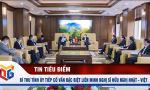 Bí thư Tỉnh ủy tiếp xã giao Cố vấn đặc biệt Liên minh Nghị sĩ hữu nghị Nhật - Việt