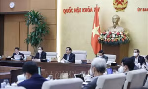 Phản ứng nhanh nhạy, quyết liệt trước đòi hỏi của thực tiễn