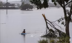 Hàng nghìn người dân thành phố Sydney (Australia) phải sơ tán do lũ lụt