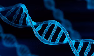 DNA rác có thể giúp con người dập tắt ký ức về nỗi sợ hãi