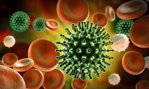 Người mắc COVID-19 khó có thể loại bỏ hoàn toàn virus khỏi cơ thể