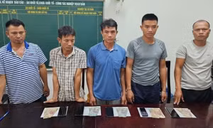Chọi trâu ăn tiền, 5 người đàn ông bị bắt