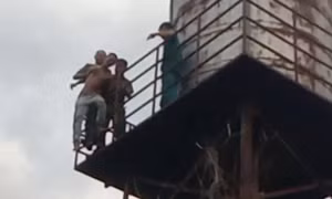 Mâu thuẫn với gia đình, thanh niên ở Đắk Nông leo lên bệ cao 15m đòi tự tử
