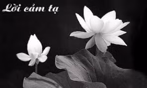 Lời cảm tạ