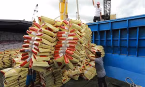Xuất khẩu gạo không chỉ là câu chuyện kinh tế mà còn là thương hiệu và uy tín quốc gia