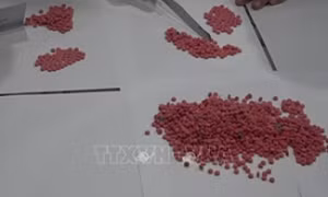 Bắt giữ đối tượng vận chuyển 18 bánh heroin