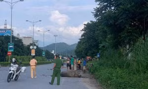 Uống rượu đi xe máy tông chết con trâu, nam thanh niên nhập viện
