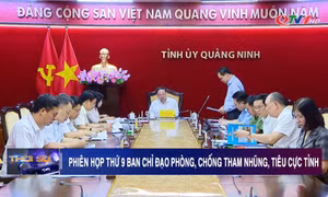 Phiên họp thứ 9 Ban Chỉ đạo phòng, chống tham nhũng, tiêu cực tỉnh