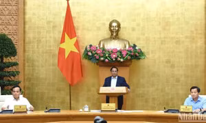 Chính phủ họp chuyên đề về xây dựng pháp luật tháng 6/2024