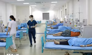 Thực hiện truy xuất nguồn gốc đến cùng khi xảy ra ngộ độc thực phẩm
