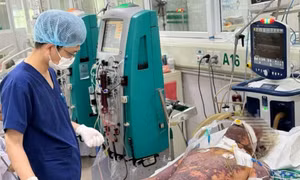Nhiễm khuẩn liên cầu sau ba giờ giết mổ lợn