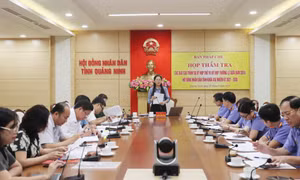 Ban Pháp chế HĐND tỉnh thẩm tra các báo cáo trình tại kỳ họp thứ 19 (kỳ họp thường lệ giữa năm 2024)