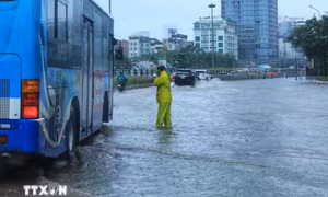 Đông Bắc Bộ nhiều mây, ngày có mưa rào và dông rải rác, cục bộ có mưa to