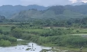 Hai anh em đuối nước khi cứu nhau