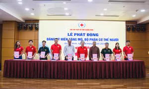 Hội Chữ thập đỏ tỉnh: 6 tháng huy động hơn 20,2 tỷ đồng thực hiện công tác xã hội
