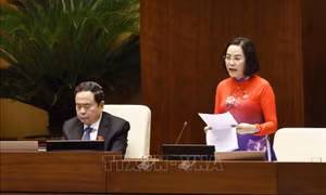 Để di sản phát huy tốt nhất giá trị cho phát triển kinh tế - xã hội, đời sống tinh thần của người dân