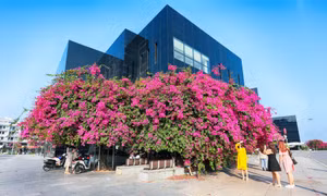 Bản tin Vùng Đông Bắc ngày 19/6/2024
