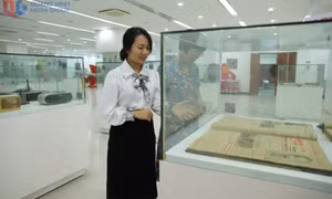 Công tác lưu trữ tư liệu báo chí Quảng Ninh tại Thư viện tỉnh