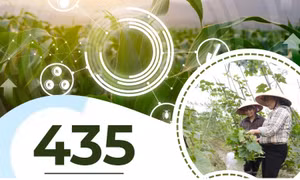 435 - là số câu lạc bộ nông dân đang hoạt động trên địa bàn tỉnh với gần 10.000 thành viên