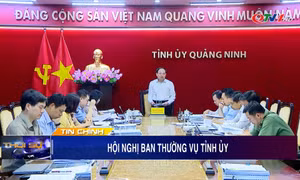Hội nghị Ban thường vụ Tỉnh ủy