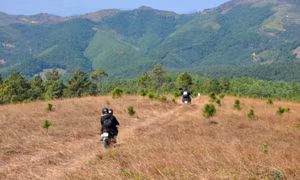 Đề nghị đầu tư tuyến đường giao thông lên núi Phượng Hoàng - di tích Chùa Hồ (TP Uông Bí)