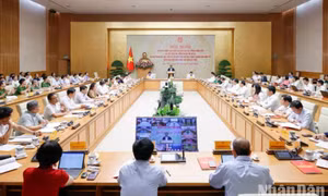 Tích cực tháo gỡ các điểm nghẽn trong triển khai Đề án 06; đẩy mạnh kết nối, chia sẻ dữ liệu