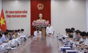 Khẩn trương hoàn thiện hồ sơ 2 đề án sắp xếp ĐVHC, thành lập thành phố Đông Triều
