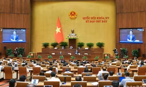 Thông cáo báo chí số 29, Kỳ họp thứ 7, Quốc hội khóa XV