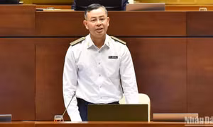 Chỉ chuyển cơ quan điều tra những vụ việc ‘đã chín, đã rõ’