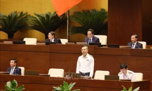 Nâng chất lượng kiểm toán nhà nước và hiệu quả du lịch đêm