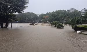 Nỗi lo mưa lụt còn đó
