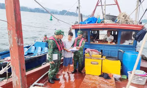 Ngăn chặn vận chuyển hàng hóa trái phép trên biển