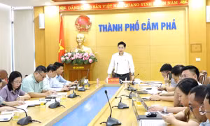 TP Cẩm Phả: Tiếp tục phát huy nội lực duy trì đà tăng trưởng