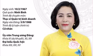 Phó Chủ tịch Quốc hội nước Cộng hòa Xã hội Chủ nghĩa Việt Nam Nguyễn Thị Thanh